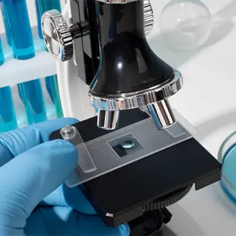 biotechnology training in chennai