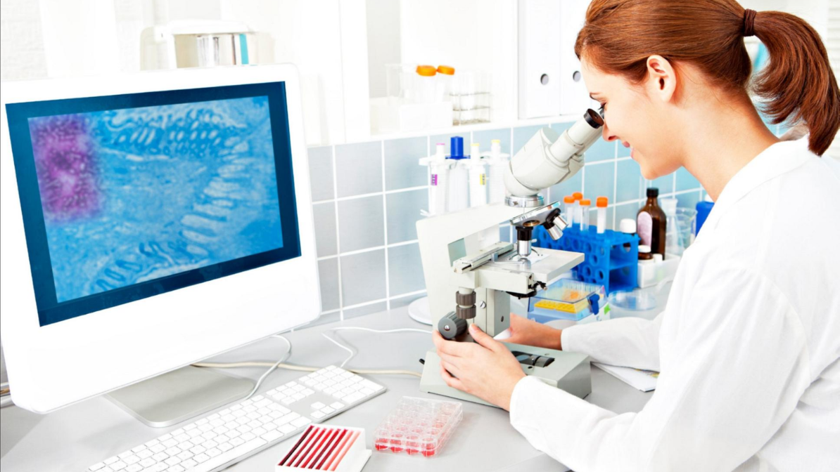 Medical Laboratory Technician Program for students