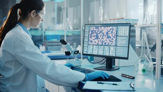 biological computation