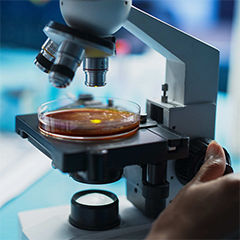 pharmaceutical training